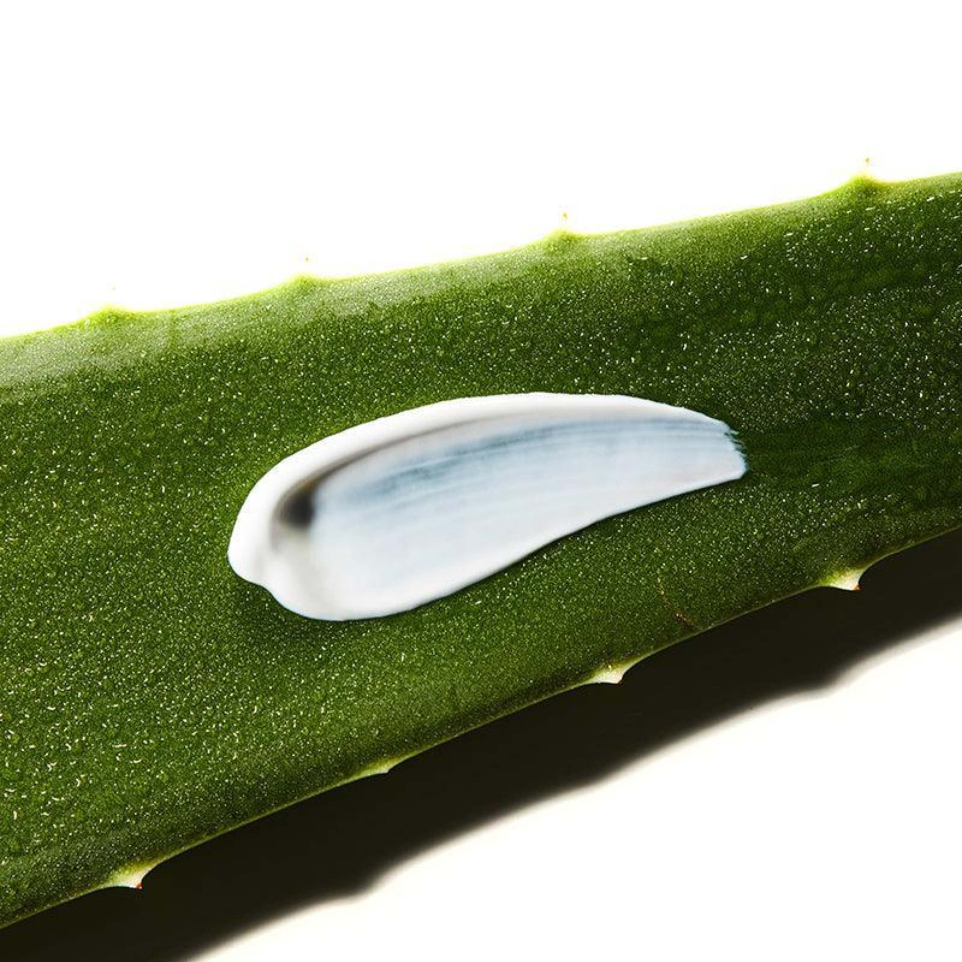 COSRX Aloe Soothing Sun Cream SPF50 PA 50 ml