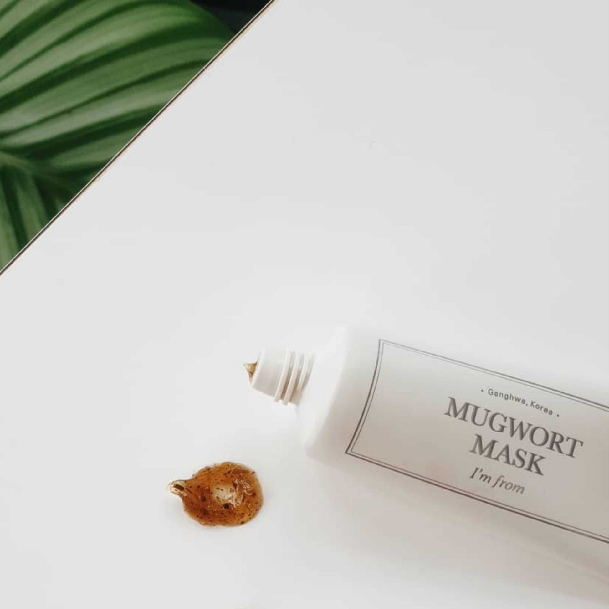 Mugwort ansiktsmaske i tube med ingredienser