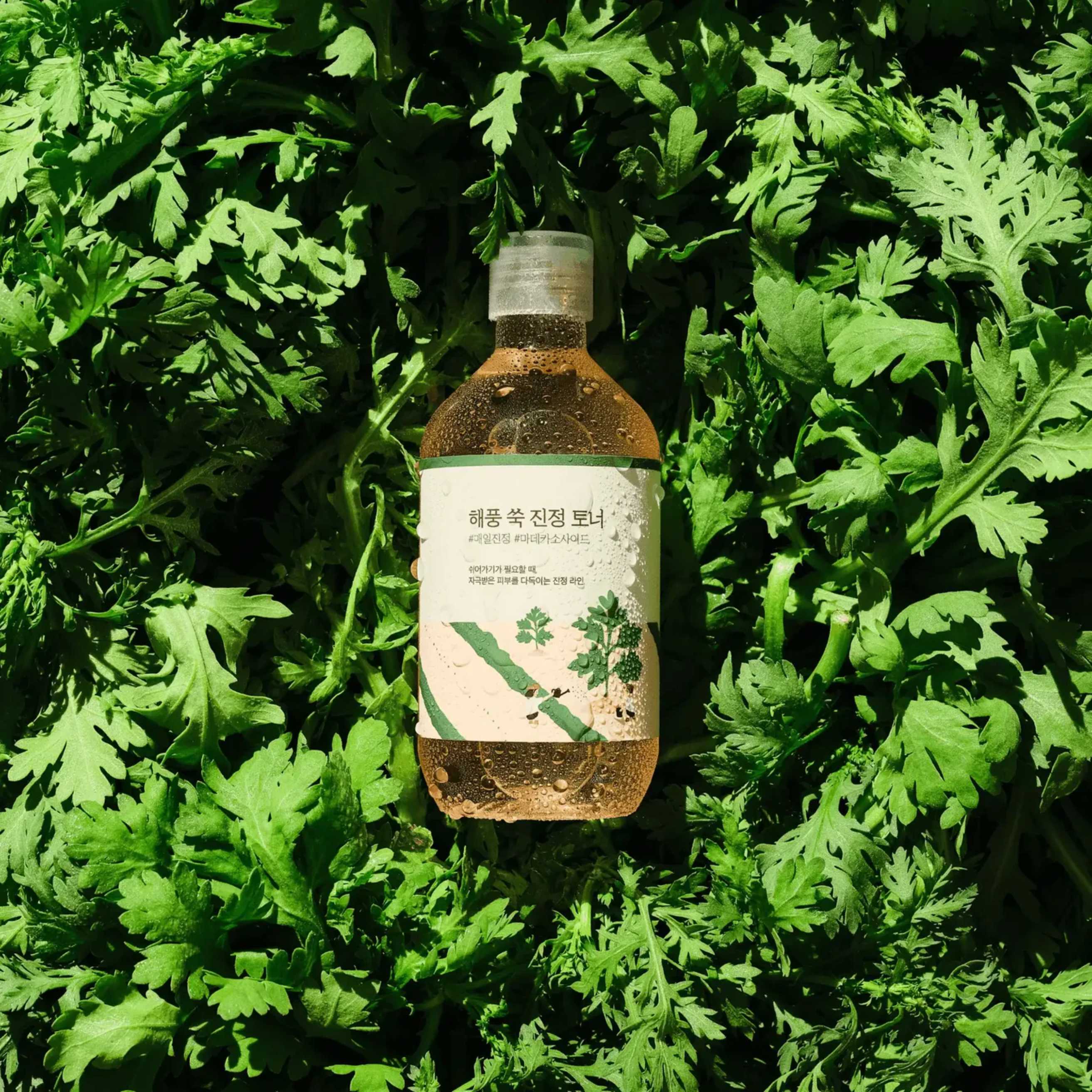 Round Lab Mugwort toner plassert i grønt miljø